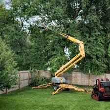 Best Tree Health Inspection  in Fall Creek, WI