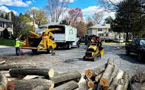 Best Artificial Turf Installation  in Fall Creek, WI