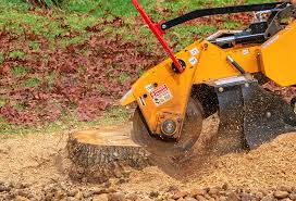 Best Lawn Drainage Solutions  in Fall Creek, WI