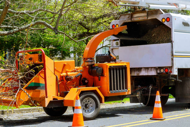 Best Tree Preservation Services  in Fall Creek, WI